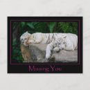 Recherche de affection cartes postales Animal