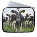 Recherche de agriculture coques Humour