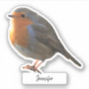 Recherche de merle autocollants Oiseau