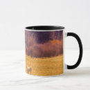 Recherche de champ des fleurs tasses Photographie