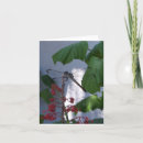 Recherche de macro vœux cartes Plan rapproché