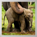 Recherche de éléphant art Bébés animaux