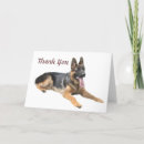 Recherche de chiot berger allemand vœux cartes Pub