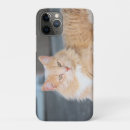 Recherche de poilue iphone coques Mignon