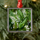 Recherche de flowers ornements Wildflower