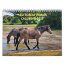 Recherche de chevaux de deux calendriers Poney