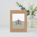 Recherche de saumon rouge cartes postales Papillon