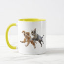 Recherche de chats et films tasses Dog