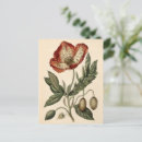 Recherche de pavot cartes postales Illustration