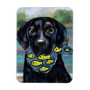 Recherche de le labrador magnets Pour lui