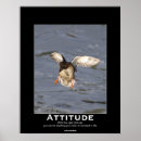 Recherche de canard drôle posters Humour