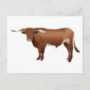 Recherche de béquilles cartes postales Longhorn