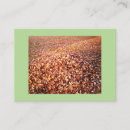 Recherche de retraites cartes visite Professions administratives