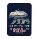 Recherche de ours magnets Paysage
