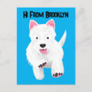 Recherche de petit chien cartes postales Blanc