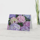Recherche de hortensia pourpre vœux cartes Hortensias