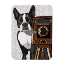 Recherche de terriers magnets Dog