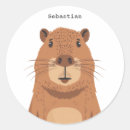 Recherche de curieux autocollants Rongeur