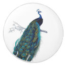 Recherche de queue boutons et poignées de porte Oiseau