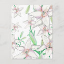 Recherche de lis blanc cartes postales Fleurs