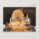 Recherche de thanksgiving drôle cartes postales Humour