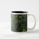 Recherche de del tasses Environnement