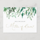 Recherche de eucalyptus invitations Verdure