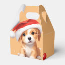 Recherche de chiot ballotins Mignon