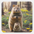 Recherche de quokka autocollants Marsupial