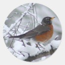 Recherche de robin birds autocollants Nature