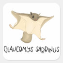 Recherche de dessin nature autocollants Forêt