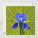 Recherche de dessin botanique vœux cartes Bleu