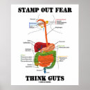 Recherche de estomac posters Humour