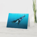 Recherche de cétacés vœux cartes Mer
