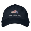 Recherche de cas d casquettes Politique