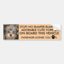 Recherche de pare chocs voiture autocollants Animaux