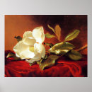 Recherche de velours rouge posters Fleur