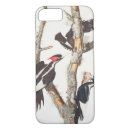 Recherche de audubon de john james iphone coques Oiseaux
