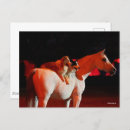 Recherche de cheval arabe cartes postales Animal