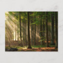 Recherche de rayons de soleil cartes postales Nature