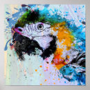 Recherche de perroquet art Décoration