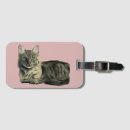 Recherche de minou mignon accessoires Pour elle