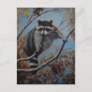 Recherche de cocon cartes postales Animaux