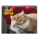 Recherche de chat bureau fournitures Mignon