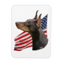 Recherche de pinscher magnets Chien