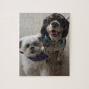 Recherche de tzus de shih puzzles Animaux familiers