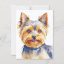 Recherche de yorkshire terrier cartes postales Animal