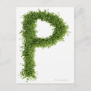 Recherche de légume vert cartes postales Carré