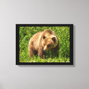 Recherche de ours impressions sur toile Grizzlis