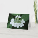 Recherche de hortensia vœux cartes Épouser